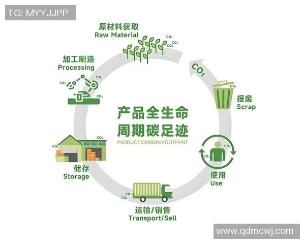 全球赛事转播的碳足迹与环保压力的双重挑战与应对策略